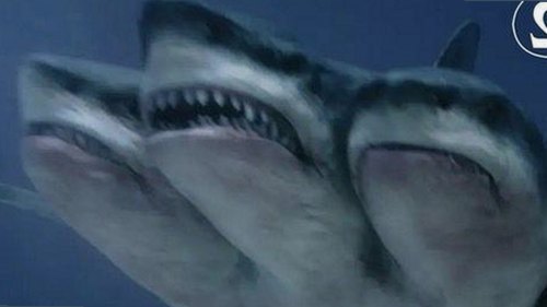 影帝零点看书:娱乐圈“吃瓜”背后的深度人生观察