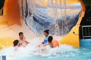 娱乐吃瓜新星小飞哥，靠啥火遍网络？揭秘他的逆袭秘籍！