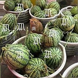 海角大神新争议视频曝光，网络讨论持续发酵