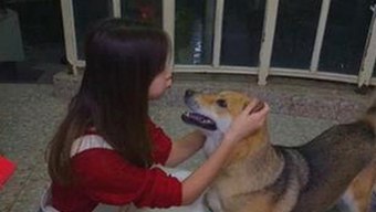 某知名演员疑似陷入绯闻风暴，背后真相逐渐揭开