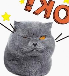 从低调到爆红：多多娱乐的华丽转身与幕后变化