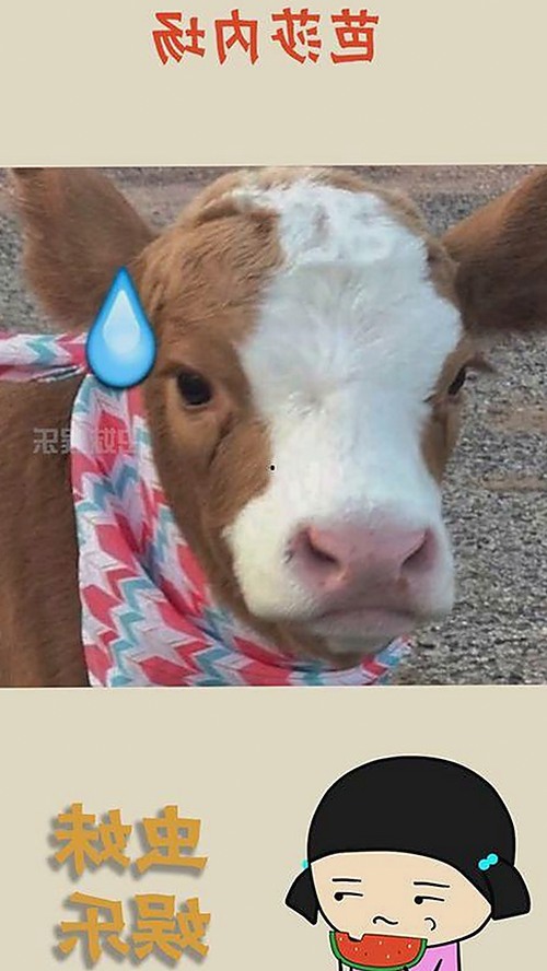 某明星深夜被拍疑似进出酒店，粉丝纷纷猜测行程安排