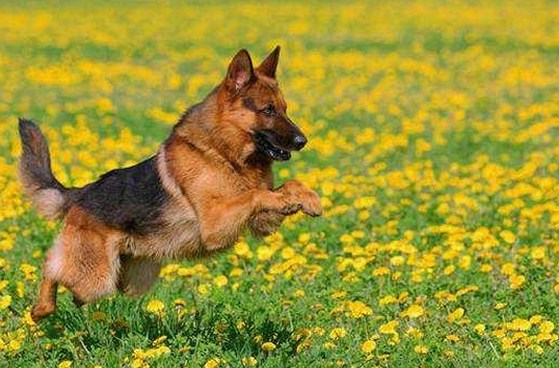 娱乐圈3月热议：明星动向与新变化引发关注