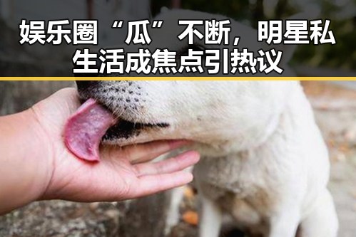 娱乐圈“瓜”不断，明星私生活成焦点引热议