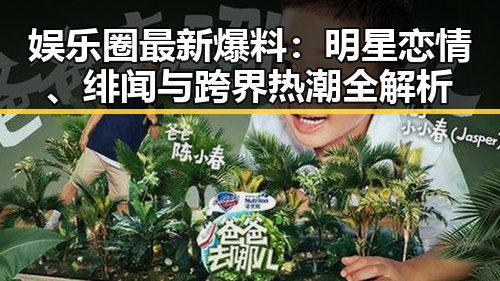 娱乐圈最新爆料：明星恋情、绯闻与跨界热潮全解析