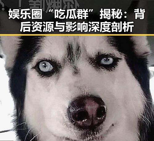 娱乐圈“吃瓜群”揭秘:背后资源与影响深度剖析