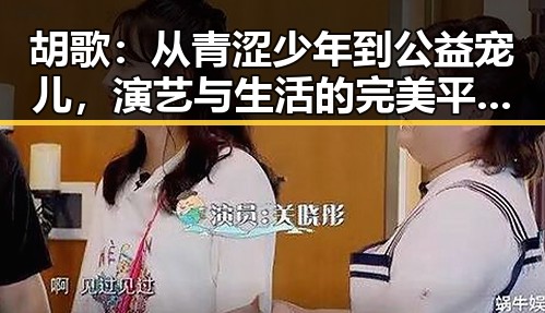 胡歌:从青涩少年到公益宠儿,演艺与生活的完美平衡🌟