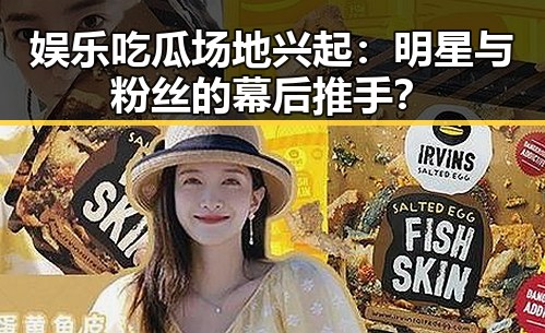 娱乐吃瓜场地兴起：明星与粉丝的幕后推手？